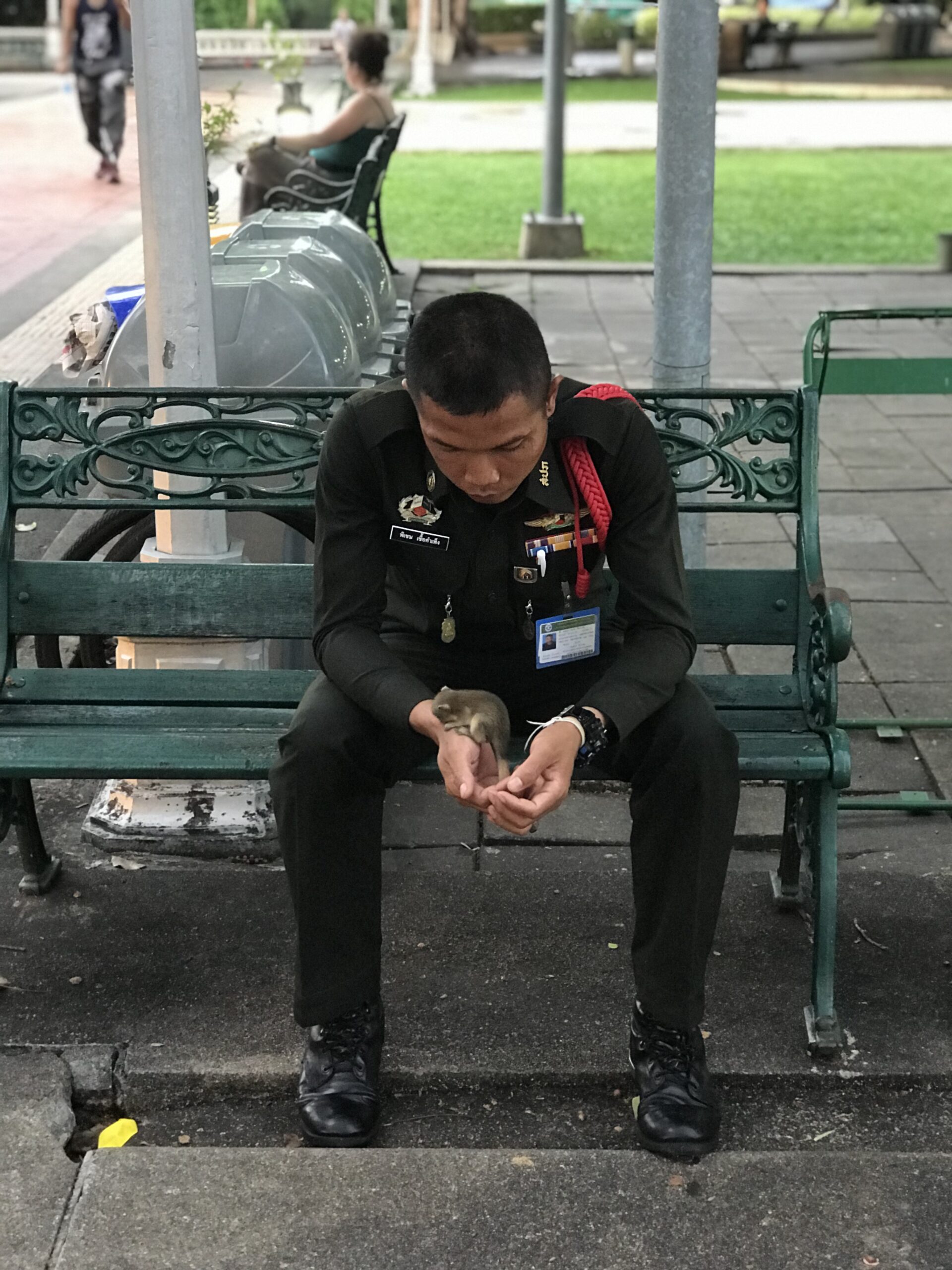 Thai police officer feeding a baby squirrel on a bench in Isan